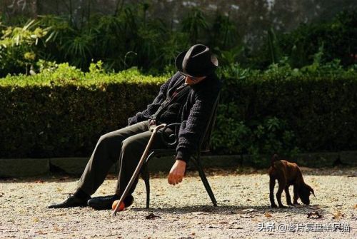 教父排行榜(教父所有人物详解)插图63