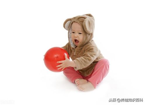 1岁半宝宝玩具排行榜(1岁以上宝宝玩具必入榜)