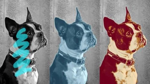 萌萌的照相软件排行榜(拍照最好的软件)