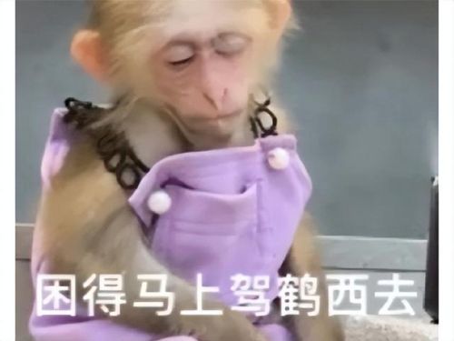 最新游戏公测排行榜(最新公测的手游)插图1 最新游戏公测排行榜(最新公测的手游)插图1