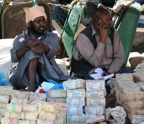 木薯排行榜(木薯有几种品种图片)插图11