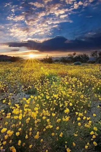 世界风景区排行榜(国内必去的景点排行榜)插图11