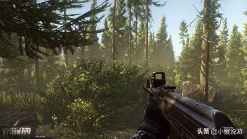 最火的射击网游排行榜(大型网络游戏排行榜)