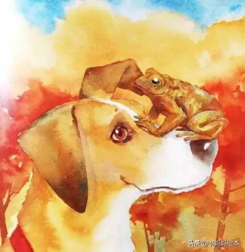 人气总排行榜狗狗书籍(哪些养狗的书比较实用)插图42