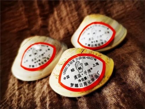 缝纫机十大名牌排行榜(中国70年代缝纫机前十名排名)插图19 缝纫机十大名牌排行榜(中国70年代缝纫机前十名排名)插图19