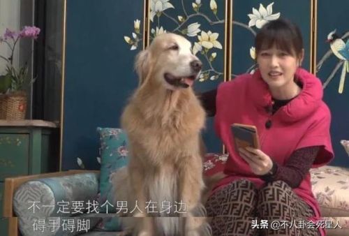 中国内陆视帝排行榜(历届视帝视后)插图14 中国内陆视帝排行榜(历届视帝视后)插图14