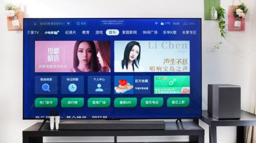 乐华名牌电视机排行榜(65寸电视哪个牌子好)插图12