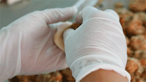 浙江月饼品牌排行榜(河南十大月饼品牌排行)插图12 浙江月饼品牌排行榜(河南十大月饼品牌排行)插图12