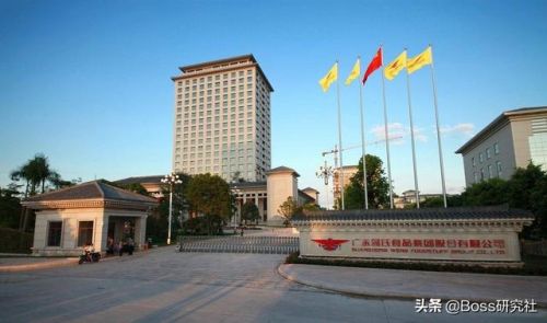 云浮十大首富排行榜(广东云浮有钱人排名)插图4