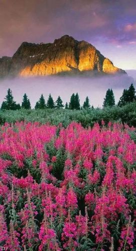 世界风景区排行榜(国内必去的景点排行榜)插图22