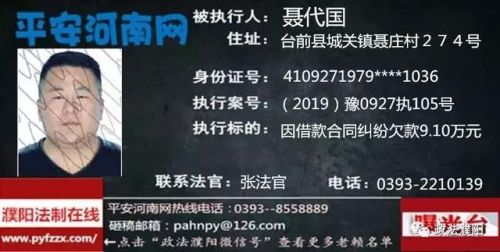 2017台前老赖排行榜(广东台山老赖名单查询)插图18