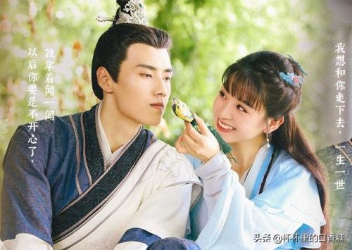 2017言情剧排行榜(评分最高的言情电视剧)插图16