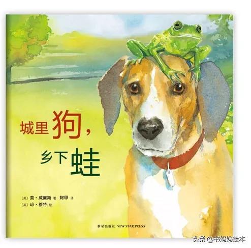 人气总排行榜狗狗书籍(哪些养狗的书比较实用)插图39