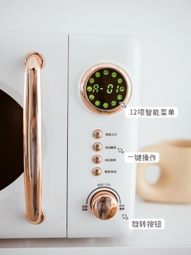 进口微波炉品牌排行榜(口碑最好的微波炉)插图5