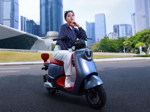 电动自行车车品牌排行榜(电动车最耐用排名第一)插图6 电动自行车车品牌排行榜(电动车最耐用排名第一)插图6