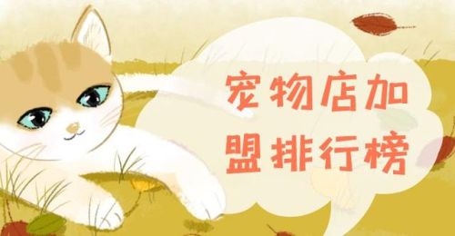 小宠物加盟店排行榜(宠物店加盟大概要多少钱)插图 小宠物加盟店排行榜(宠物店加盟大概要多少钱)插图