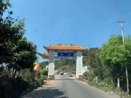 最贵的普洱茶叶排行榜(最贵的普洱茶多少钱一饼)插图7