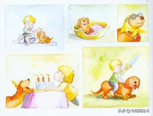 人气总排行榜狗狗书籍(哪些养狗的书比较实用)插图20