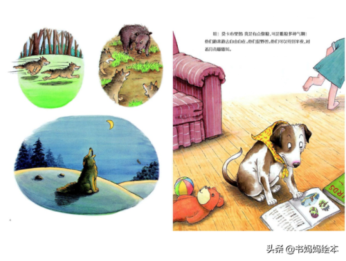 人气总排行榜狗狗书籍(哪些养狗的书比较实用)插图24