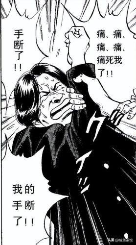 一拳力量前10排行榜(如何出拳)插图2 一拳力量前10排行榜(如何出拳)插图2