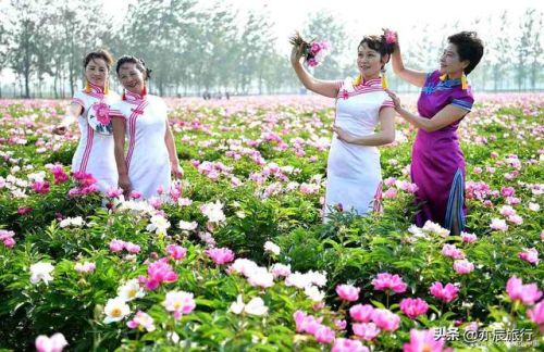 菏泽好玩的地方排行榜(菏泽一日游必去景点)插图18 菏泽好玩的地方排行榜(菏泽一日游必去景点)插图18