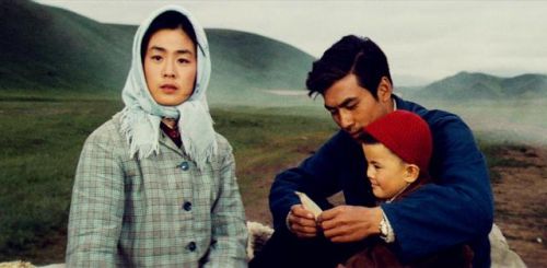 爱情大片排行榜前十名(必看的经典爱情电影)插图38