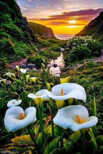 世界风景区排行榜(国内必去的景点排行榜)插图16