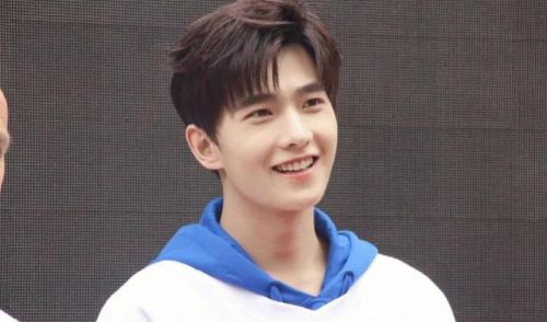 明星排行榜鹿晗排第几(鹿晗在中国人气排第几)插图10 明星排行榜鹿晗排第几(鹿晗在中国人气排第几)插图10