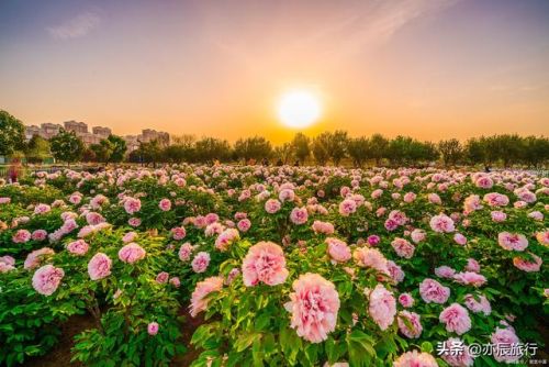 菏泽好玩的地方排行榜(菏泽一日游必去景点)插图1 菏泽好玩的地方排行榜(菏泽一日游必去景点)插图1