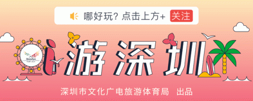 深圳好玩好吃的地方排行榜(深圳人气最旺的美食街)插图 深圳好玩好吃的地方排行榜(深圳人气最旺的美食街)插图