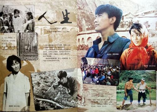 爱情大片排行榜前十名(必看的经典爱情电影)插图33