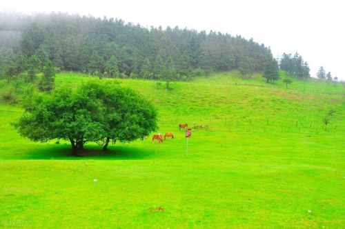 重庆市内景点排行榜(重庆市的旅游景点排名)插图27