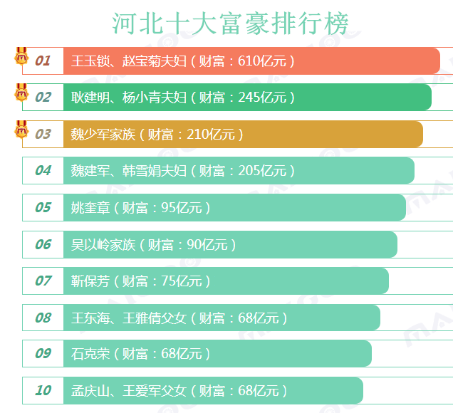河北富豪榜2017排行榜(河北省十大首富排名)插图 河北富豪榜2017排行榜(河北省十大首富排名)插图