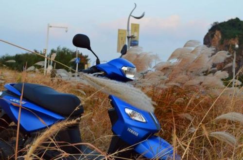 2017踏板摩托车品牌排行榜(性能最好的踏板摩托车)插图8