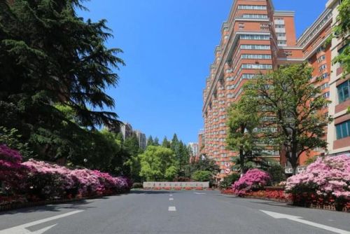 健康管理平台系统排行榜(健康管理app排名)