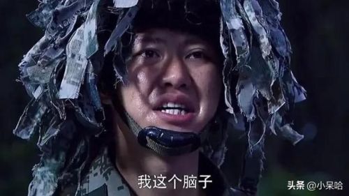 特种部队电视剧排行榜(十大军旅电视剧排行)插图19