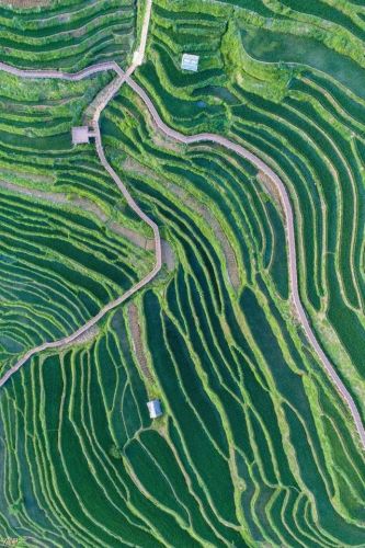 世界风景区排行榜(国内必去的景点排行榜)插图2