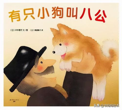 人气总排行榜狗狗书籍(哪些养狗的书比较实用)插图13