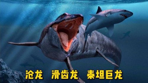 十大巨兽排行榜国语版(全球十大猛兽)插图