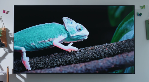 乐华名牌电视机排行榜(65寸电视哪个牌子好)插图32