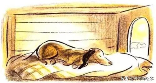 人气总排行榜狗狗书籍(哪些养狗的书比较实用)插图31