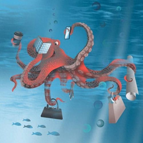 乌贼排行榜(十大乌贼排名)