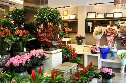 上海花店加盟店排行榜(全国十大花店加盟品牌)