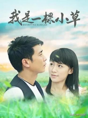 催泪情感电视剧排行榜(超级虐心催泪的电视剧)插图7