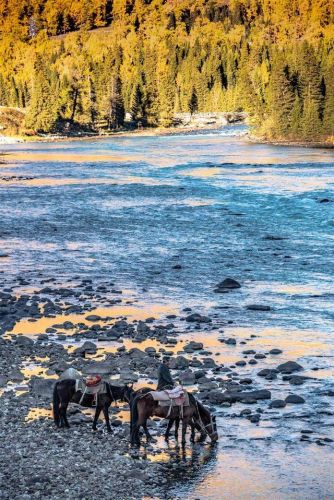 九月国内旅游排行榜(国内必去的景点排行榜)插图11