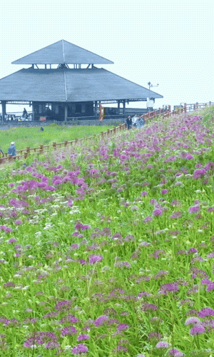 九月国内旅游排行榜(国内必去的景点排行榜)插图17