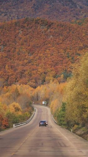 九月国内旅游排行榜(国内必去的景点排行榜)插图3