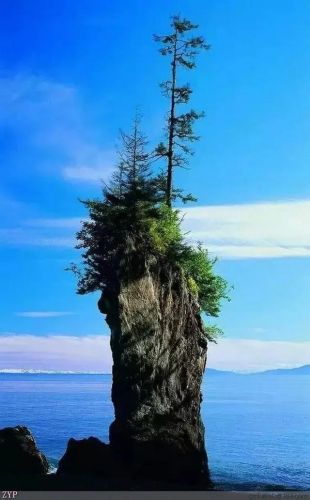 世界风景区排行榜(国内必去的景点排行榜)插图33