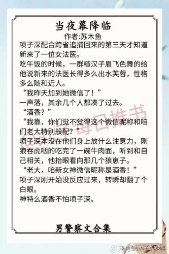 警察小说排行榜前十名(刑侦必看的十本书)插图2 警察小说排行榜前十名(刑侦必看的十本书)插图2