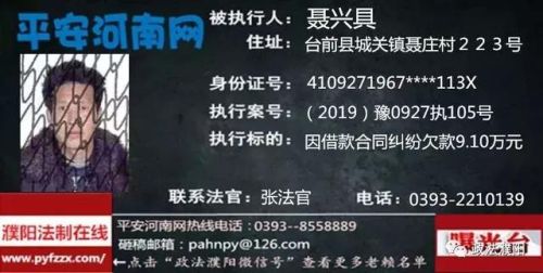 2017台前老赖排行榜(广东台山老赖名单查询)插图17